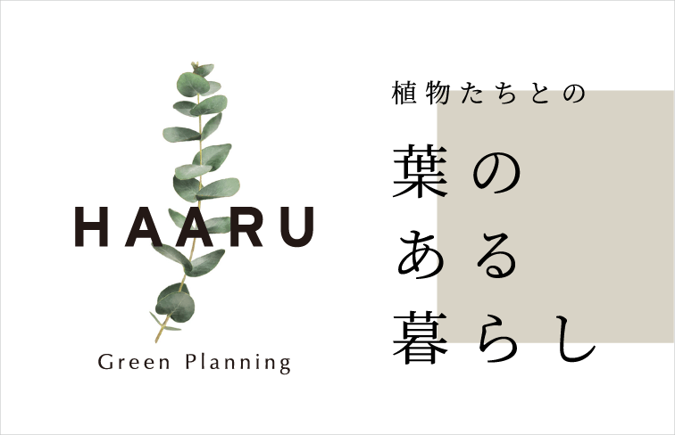 HAARU 植物たちとの葉のある暮らし