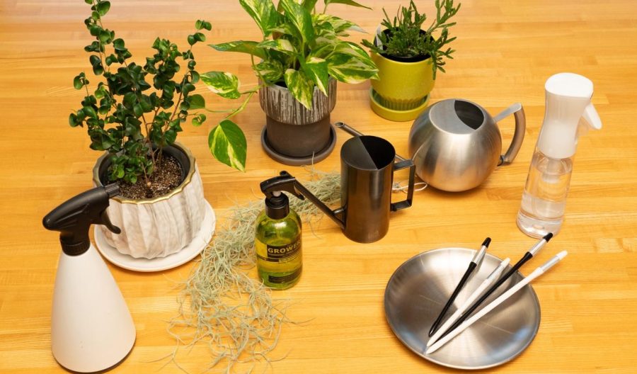 初めての観葉植物、何を揃えればいい？暮らしに緑を取り入れるためのアイテムガイド【植物のある暮らし#2】