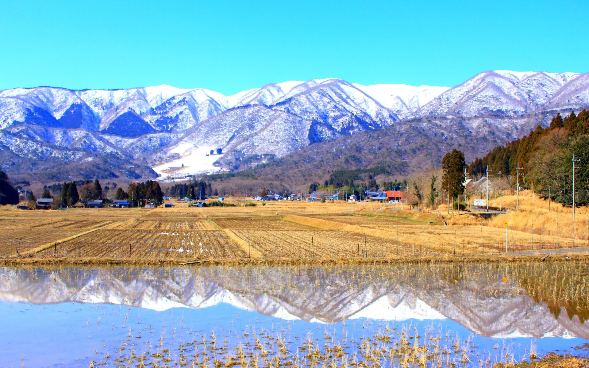 滋賀で暮らす#1 高島市｜日々の暮らしに寄り添うお気に入りの場所