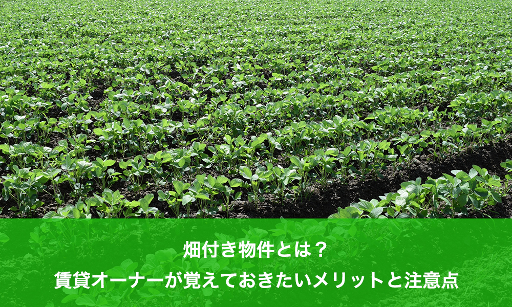 畑付き物件とは？賃貸オーナーが覚えておきたいメリットと注意点