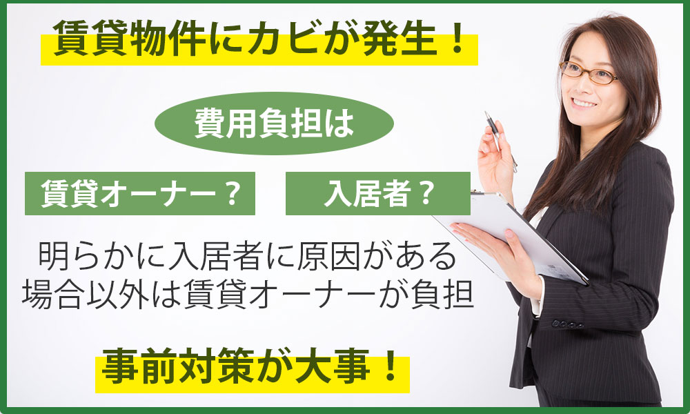 賃貸物件にカビが発生！費用負担は賃貸オーナー？それとも入居者？事前対策が大事！